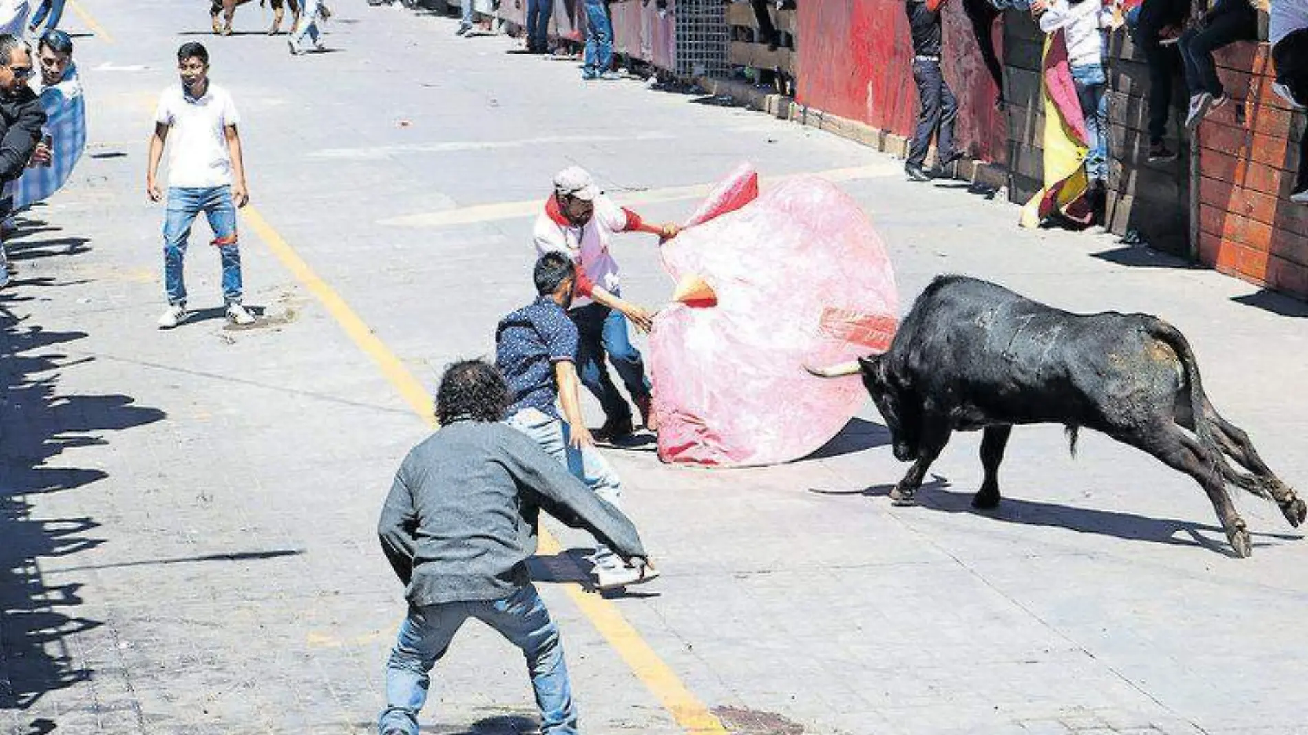 toro huamantla 2024